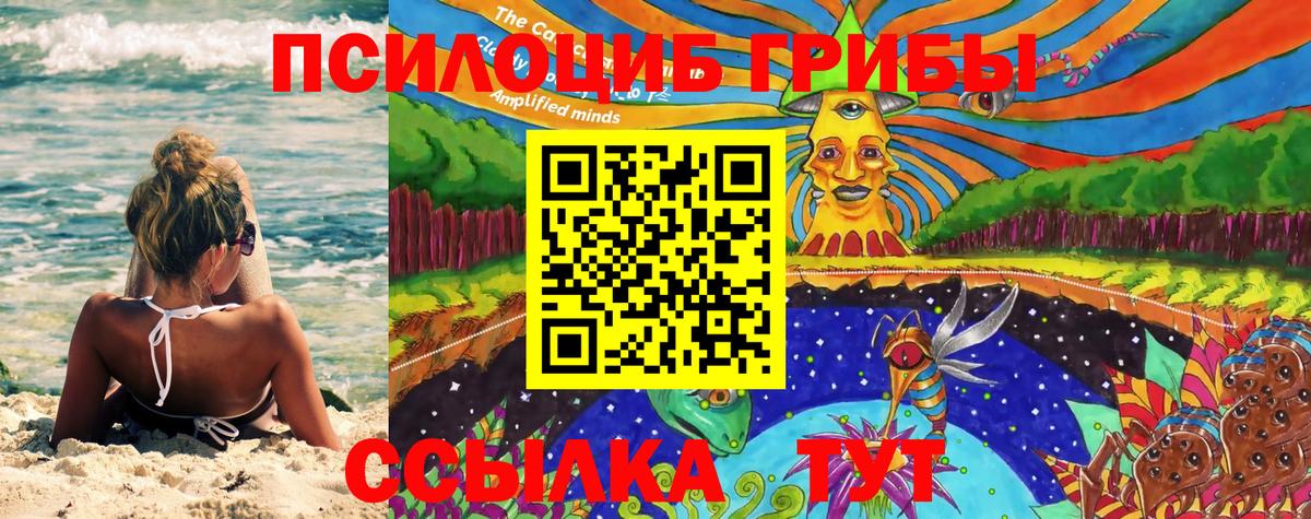 Псилоцибиновые грибы MAGIC MUSHROOMS  Вход с VPN  Старая Купавна 